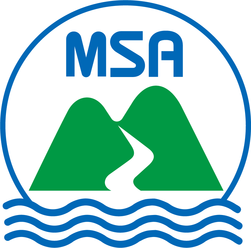 MSA