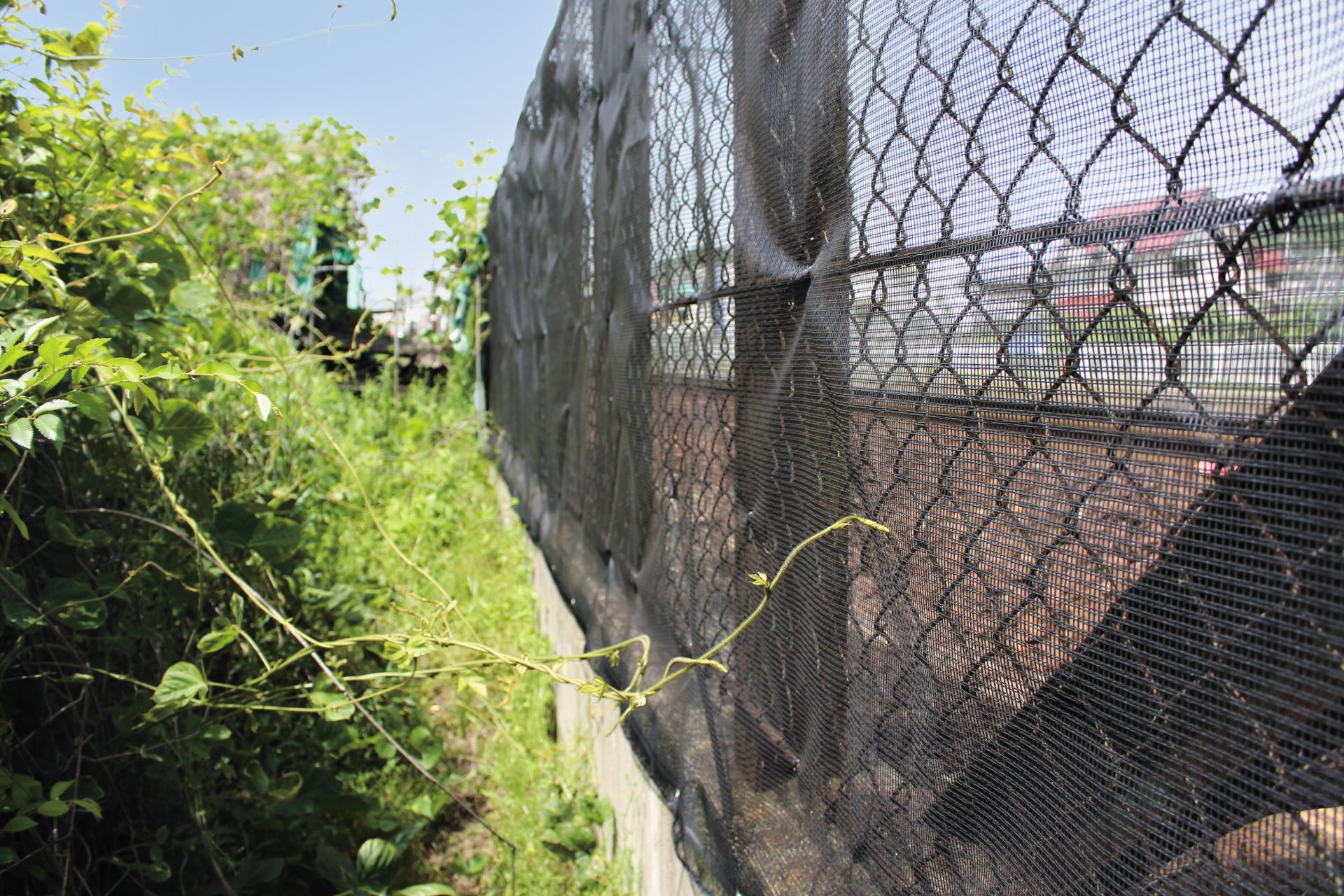 バリオスネット